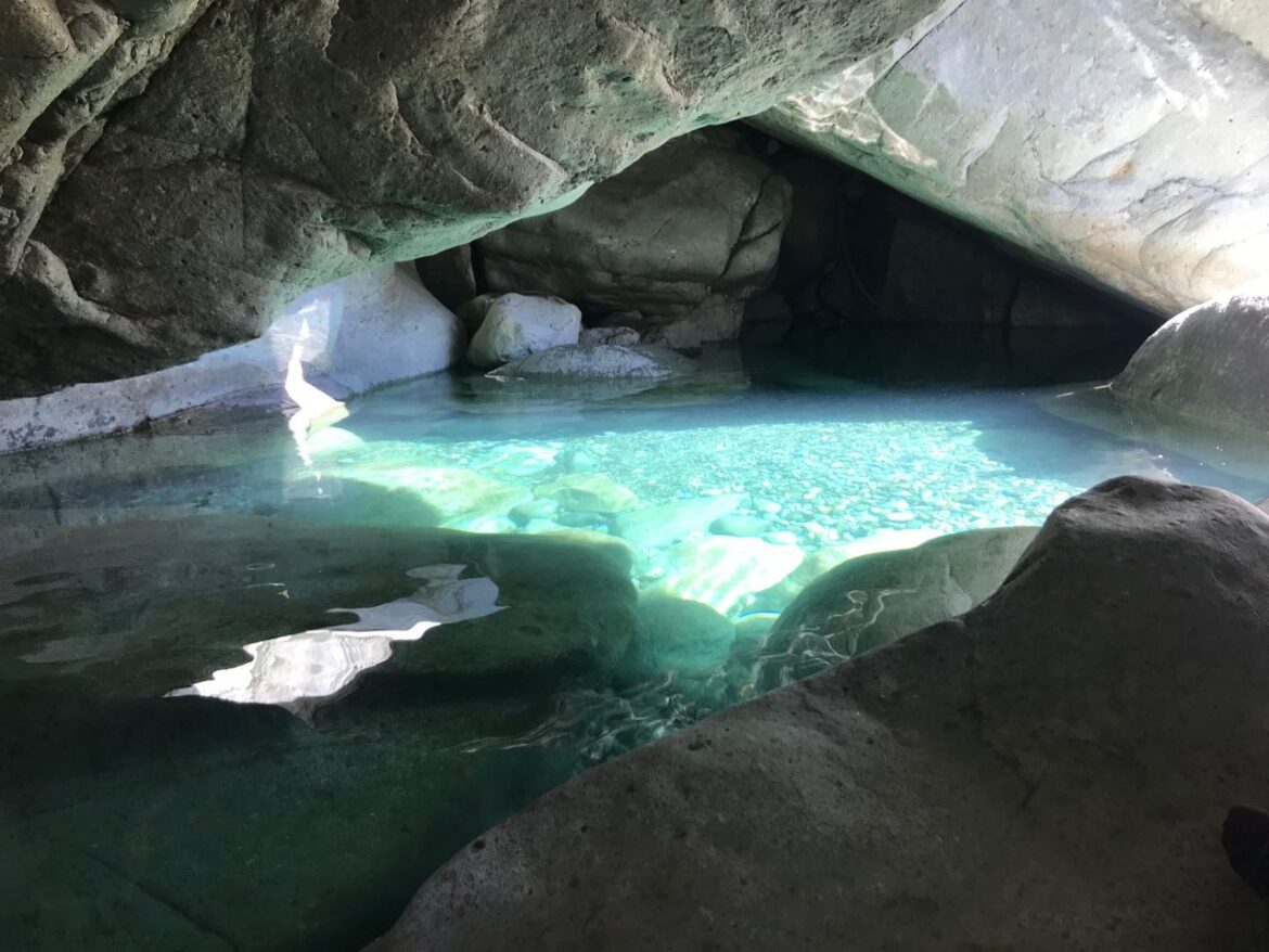 Reserva Nacional Los Bellotos